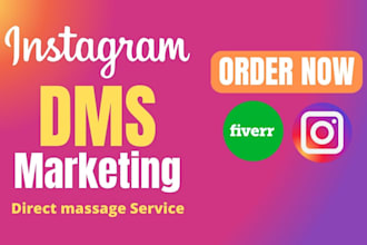 do instagram promotion and direct massages or dms to targeted audience