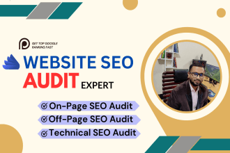 analyze professional SEO audit reports