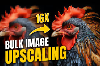 enhance your product images, ai bulk image upscaling expert