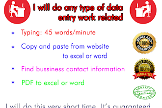 do all type of data entry work, excel work or typing