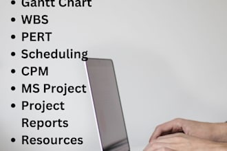 do pert, CPM, gantt chart, wbs, budgeting using ms project
