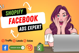setup and manage expertly shopify facebook ads, instagram ads