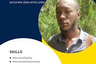 deliver fast accurate data entry copy and paste work remotely