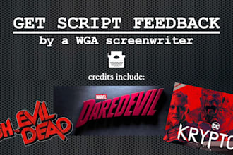 give professional feedback on your script or screenplay