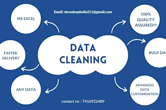 complete urgent data cleaning and microsoft excel expert