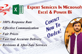 be power bi expert and do anything in excel template
