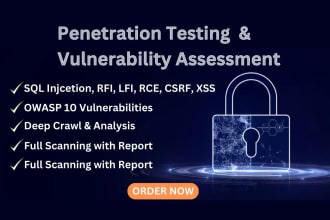 perform vulnerability and penetration testing report