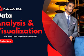 be your data analyst and excel data visualization expert