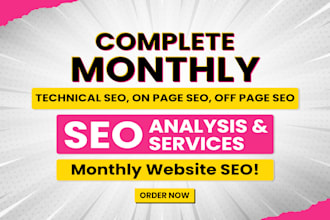 provide monthly SEO services for your wordpress website to skyrocket rankings