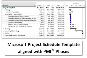 provide a ms project schedule aligned to pmi