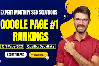 provide expert monthly SEO service to boost your website ranking google 1st page