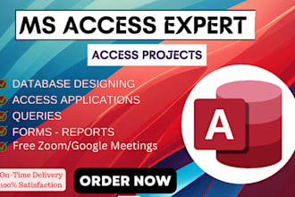 develop microsoft access database for your business