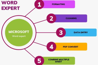 type and format microsoft word document for you