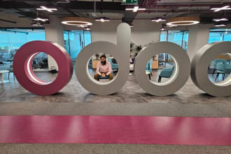 provide expert odoo installation, training and customization services