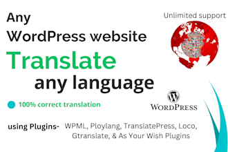 translate your website correctly without any mistakes