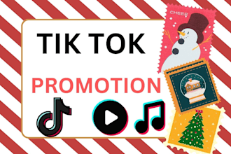 grow and promote your tiktok account, promotion, tiktok video, follower