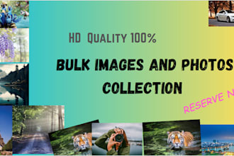 find any type of royalty free HD images collection  for you