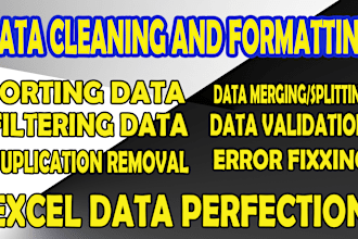 do excel data cleaning and formatting