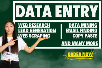 do accurate excel data entry jobs, web research, web scraping, copy paste work