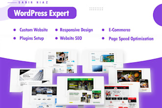 build a professional blog or news website in wordpress