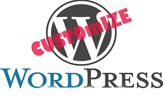 customize wordpress and fix your CSS issue