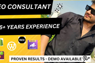 seo consultant, shopify expert, wix, wordpress, etc