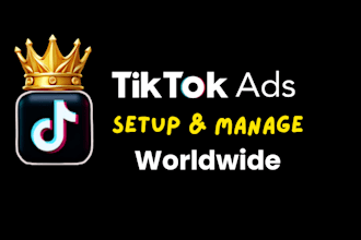 setup and manage run tik tok ads compaign, tiktok advertising,tiktok ads manager