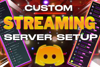 professionally set up a custom discord server for streamers