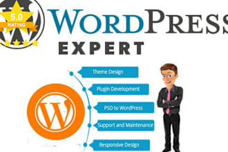 wordpress developer customized solutions and expert support