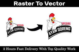 do vector tracing, edit logo, color change or redesign any graphic design