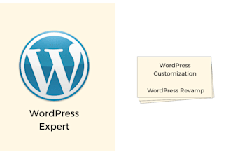 do wordpress customization and revamp wordpress and wp customization