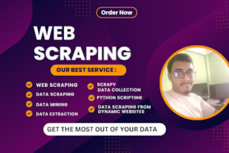 do web scraping, data mining, and web crawling of any website