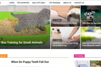 develop content rich, adsense ready website