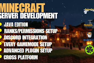 develop a professional minecraft server for you