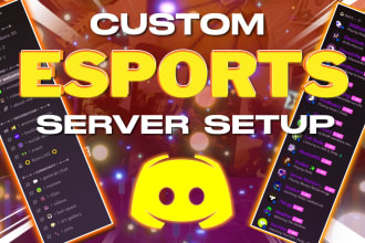 professionally set up an esports clan gaming server for you
