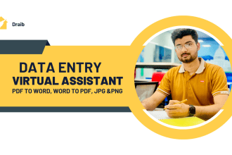 do accurate data entry and virtual assistance