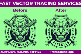 change text, refresh, recreate, revamp, and redraw your logo with transparency