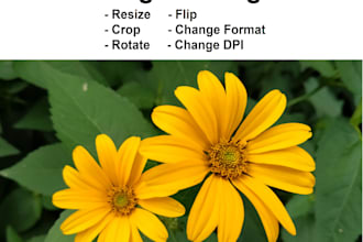 edit you image, resize, crop, flip, rotate, change format