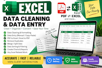 sql excel expert data entry data cleaning pivot table