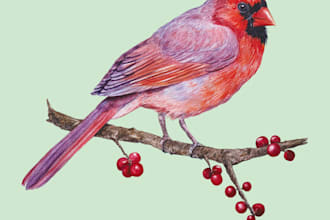 paint a bird, animal, insect illustration on watercolor