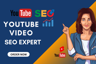 do the best youtube video SEO and channel optimization