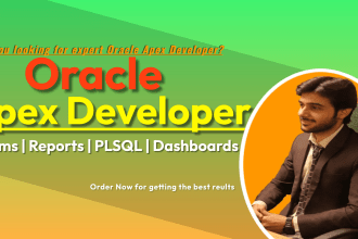 develop and customize oracle apex application