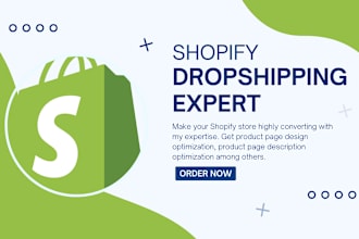 create a converting shopify dropshipping product page