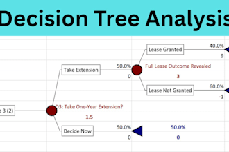 perform decision tree analysis, precision tree, silver decisions