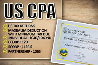 prepare and file US tax returns as CPA