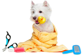 be your pet skin care ,pet food and supplement formulation chemist