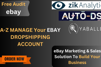 fully manage your ebay dropshipping store