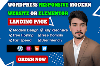 do wordpress responsive modern website or elementor landing page