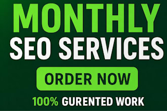 provide full monthly SEO service package for your website rank higher