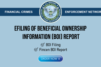 efile your boi fincen report